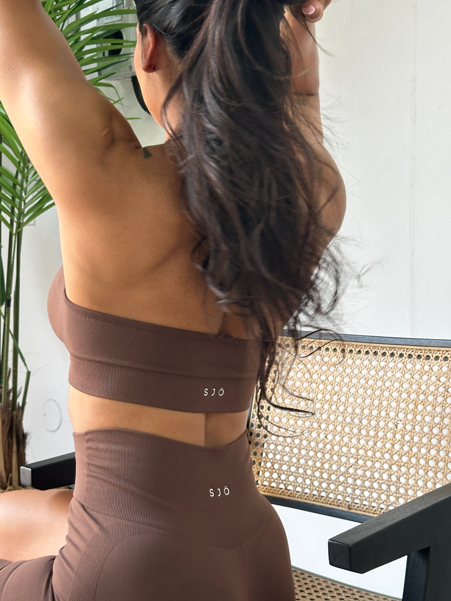 BRIGITTA SEAMLESS HALTER CROP  - BROWN