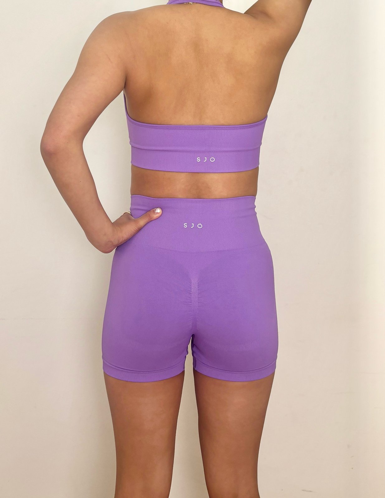 BRIGITTA SEAMLESS HALTER CROP - LILAC